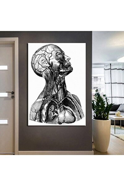 gurbaart Poliklinik Klinik Hastane Dekorasyonu Dikey Baskı Kanvas Modern Hast...