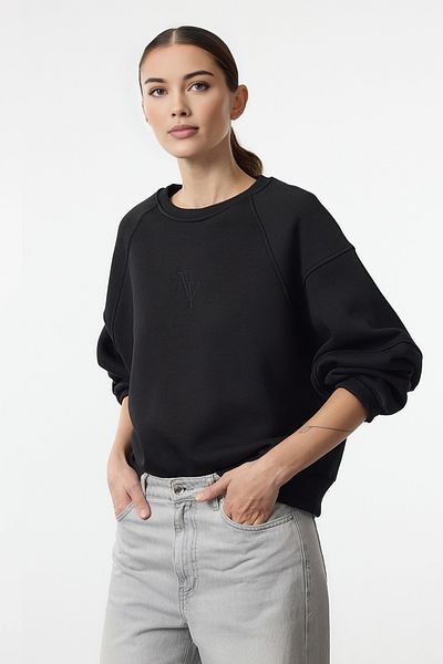 Trendyol Collection Черен бродиран поларен суитшърт с нормална кройка - кръгло деколте Twoaw24Sw00199