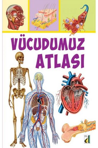 Nan Kitap Drop Publishing House Book - Atlas of Our Body