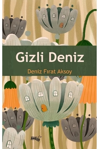 Sınırsız Kitap Gizli Deniz Deniz Fırat Aksoy Kitabı 96 Sayfa Sınırsız Kitap