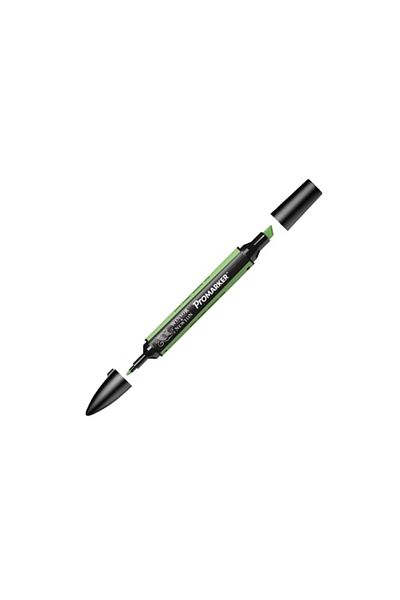 Winsor Newton Promarker Double Tip Alcohol Based Graphic Drawing Pen Apple 210 (G338)
