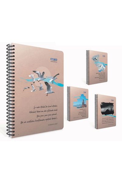 Gıpta Istanbul Notes Spiral Hard Cover 17x24 120ypStriped D