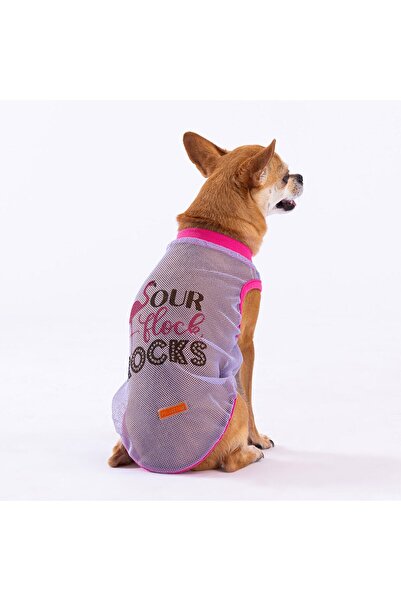 Pawstar Rocks Mesh Kedi Köpek Tişörtü - Kedi Köpek Kıyafeti