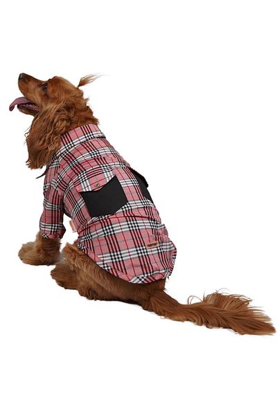 Pawstar Red Plaid Red Plaid Cat Dog Shirt Cat Dog Outfit