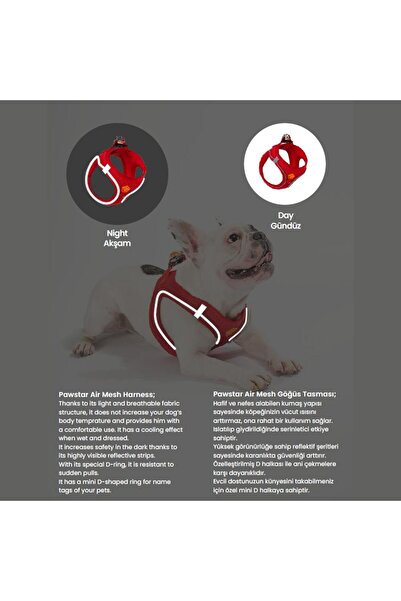 Pawstar Amazon 2li Air-mesh Köpek Göğüs Tasması Kedi Göğüs Tasması Köpek Tasması