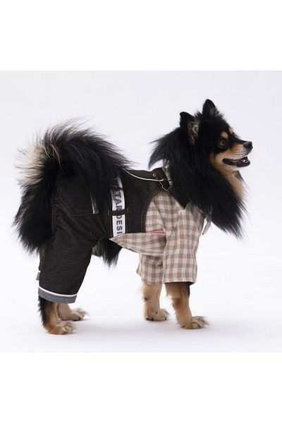 Pawstar Coffee Plaid Gardener Jumpsuit Cat Dog Jumpsuit Cat Dog Outfit