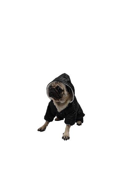 Pawstar Black Sport Romper Jumpsuit-coat Raincoat Cat Dog Outfit for Small and Medium Breeds