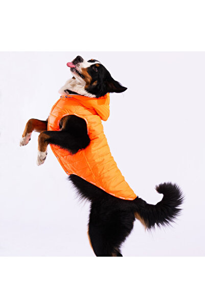 Pawstar Neon Orange Railway Anorak Dog Vest for Medium and Large Breeds Dog A...
