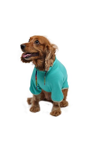 Pawstar Mint Don't Panic Sweat Cat Dog Sweat Cat Dog Outfit