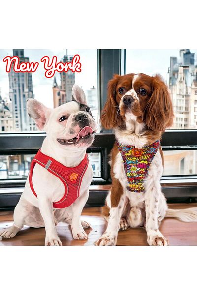 Pawstar New York 2-Piece Air-mesh Dog Collar Cat Collar Dog Collar