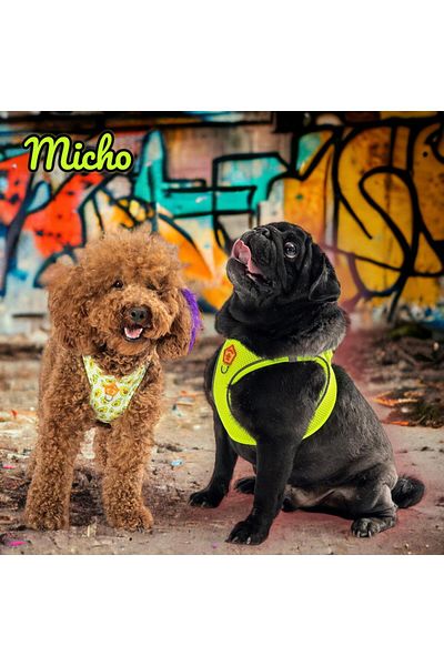 Pawstar Micho 2 قطعة شبكة الهواء طوق الكلب طوق القطط طوق الكلب
