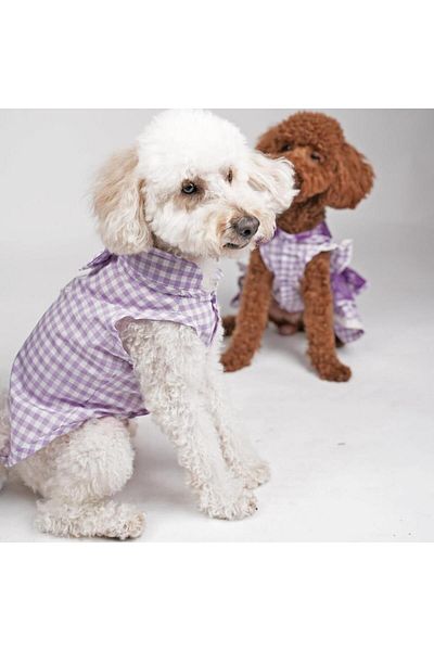 Pawstar Lilac Gingham Shirt Lilac Gingham Shirt Cat Dog Shirt Cat Dog Outfit