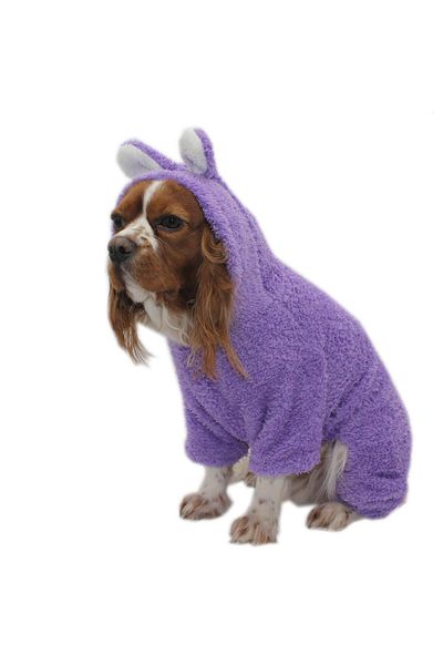 Pawstar Burgundy Cat Dog Jumpsuit and Clothes Set - m