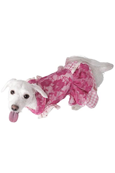 Pawstar Pink Rose Dress Pembe Gül Elbise Kedi Köpek Elbisesi Kedi Köpek Kıyafeti