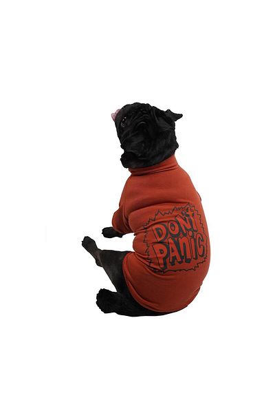 Pawstar Tile Don't Panic Sweat Cat Dog Sweat Cat Dog Outfit