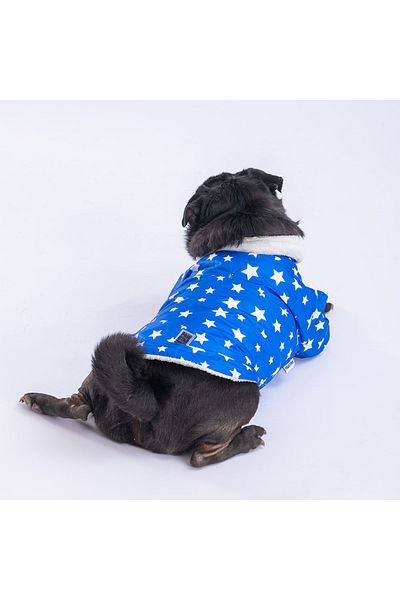 Pawstar Blue Stars Dog Coat Dog Raincoat Dog Apparel Dog Dress