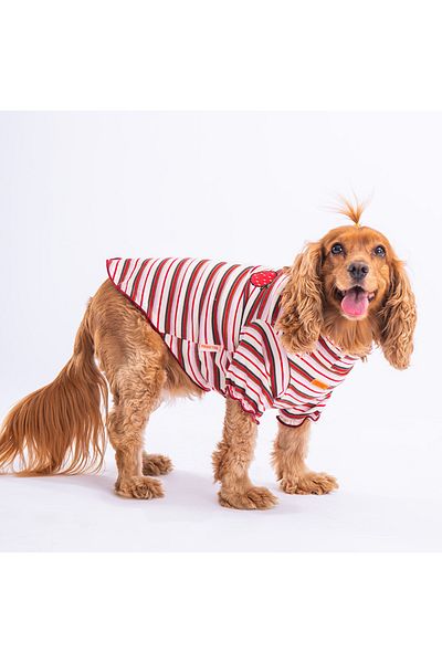 Pawstar Fragola Dog Sweati Dog Clothes Cat Clothes
