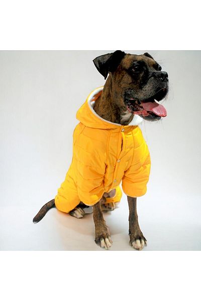 Pawstar Yellow Sport Romper Jumpsuit-coat Raincoat Cat Dog Outfit for Medium and Large Breeds