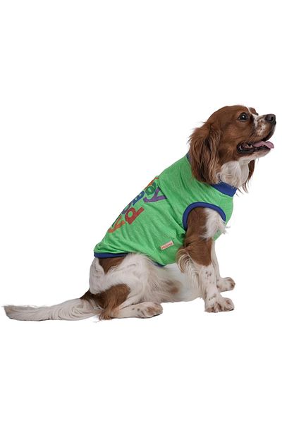 Pawstar Green Good Day Green Good Day Cat Dog T-Shirt Cat Dog Outfit