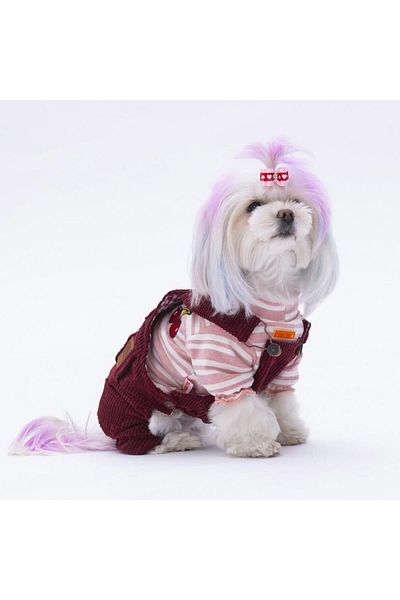 Pawstar Claret Red Salopet Cat Dog Jumpsuit Cat Dog Outfit