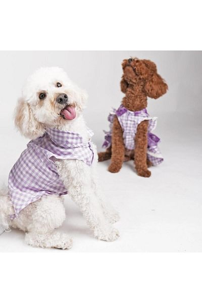 Pawstar Lilac Gingham Shirt Lilac Gingham Shirt Cat Dog Shirt Cat Dog Outfit