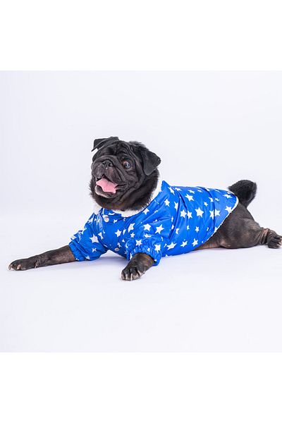 Pawstar Blue Stars Dog Coat Dog Raincoat Dog Apparel Dog Dress