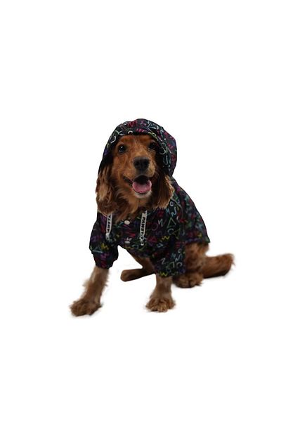 Pawstar My Symbolum Cat Dog Coat Cat Dog Clothing
