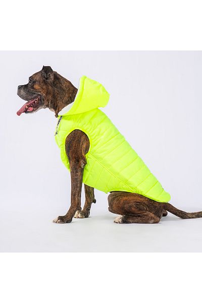 Pawstar Neon Yellow Railway Anorak Vest for Medium and Large Breeds Dog Vest Dog Apparel Dog Raincoat