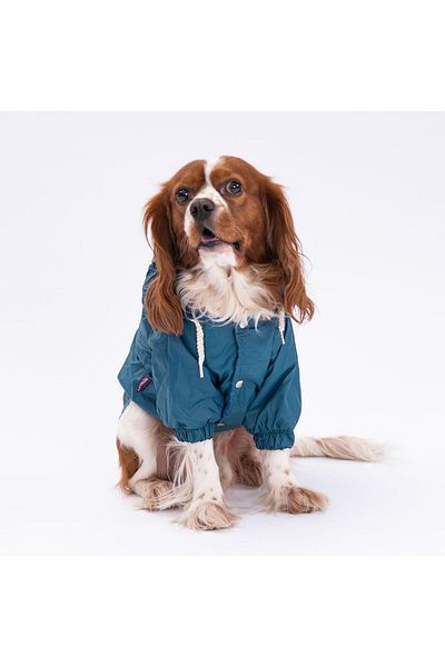 Pettrend Petrol Coat Dog Coat Dog Apparel Dog Raincoat (SMALL-LARGE IRKS)