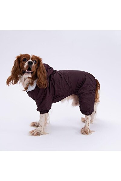 Pettrend Kahverengi Kürklü Tulum Yağmurluk Küçük Irk Yağmurluk Köpek Kıyafeti Köpek Yağmurluğu