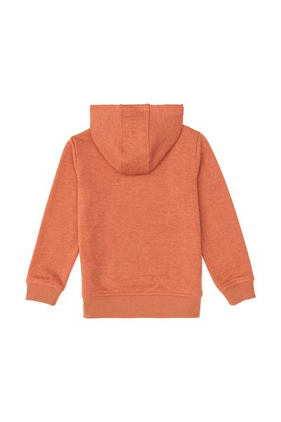 U.S. Polo Assn. Boy's Cinnamon Basic Hooded Sweatshirt 50293614 -Vr191