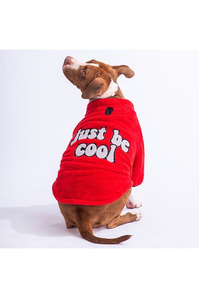 Pawstar Red Just Medium And Large Breed Dog Sweati Dog Apparel Dog Dress