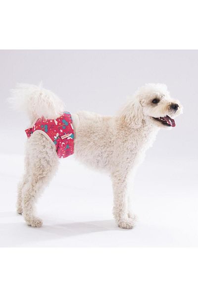 Pawstar Mixed Floral Cat-Dog Laundry Menstrual Weight (Pack of 3)