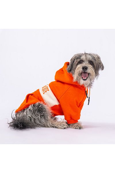 Pawstar Orange Cute Dog Hoodie Dog Sweat Dog Outfit Cat Outfit