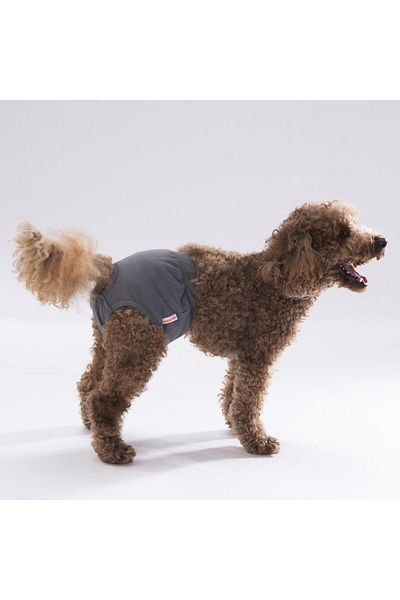 Pawstar Menstrual Weight Gray Cat-Dog Laundry