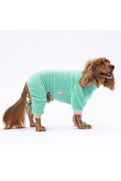 Pawstar Mint Smile Jumpsuit Cat Dog Jumpsuit Cat Dog Outfit