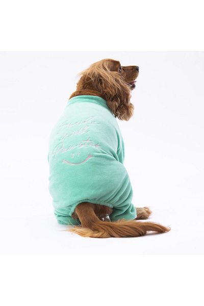 Pawstar Mint Smile Jumpsuit Cat Dog Jumpsuit Cat Dog Outfit