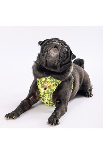 Pawstar Greenossa Air-Mesh Cat Dog Chest Collar - Xsmall