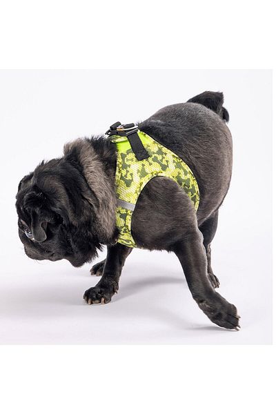Pawstar Greenossa Air-Mesh Cat Dog Chest Collar - Xsmall