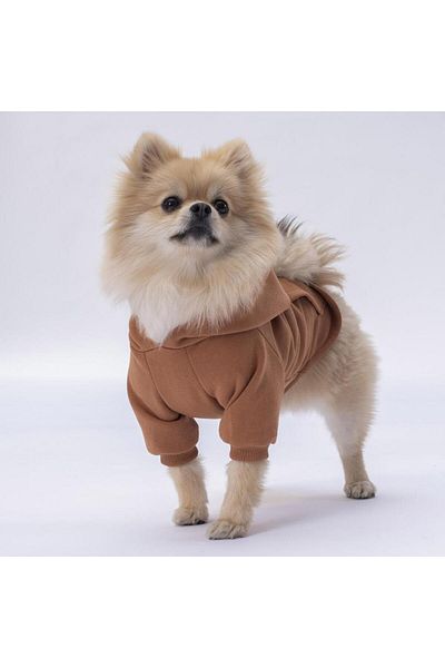 Pettrend Bear Kangaroo Pocket Hoodie Cat-dog Hoodie- Sweatshirt Cat Dog Outfit