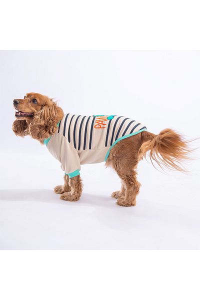 Pawstar Beige Dino Star Dog Sweati Dog Outfit Cat Outfit