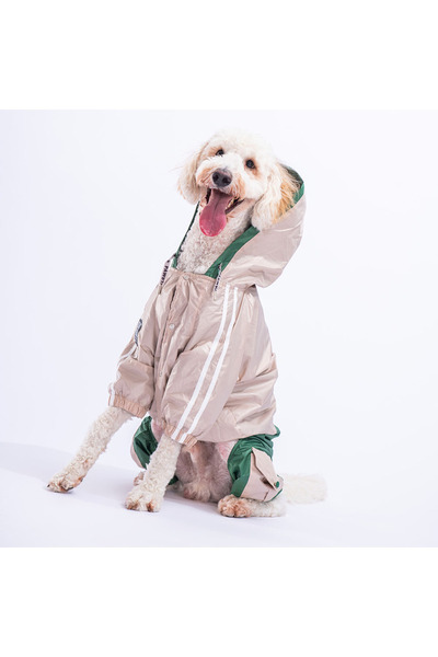 Pawstar Beige-Green Bicolor Dog Jumpsuit Raincoat Dog Raincoat Dog Outfit Dog...