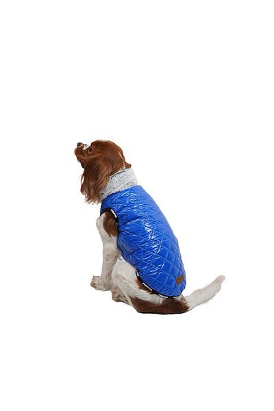 Pawstar Blue Moncler Vest for Small and Medium Breeds Cat Dog Outfit