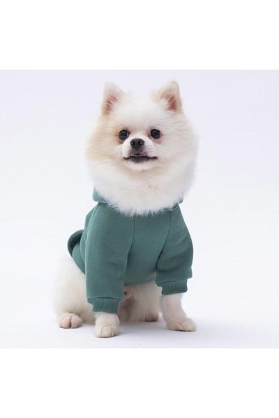 Pettrend Cagla Green Kangaroo Pocketed Cat-dog Hoodie- Sweatshirt Cat Dog Outfit