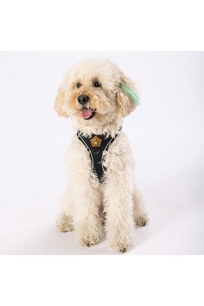 Pawstar Black Air-mesh Chest Collar Cat Dog Chest Collar