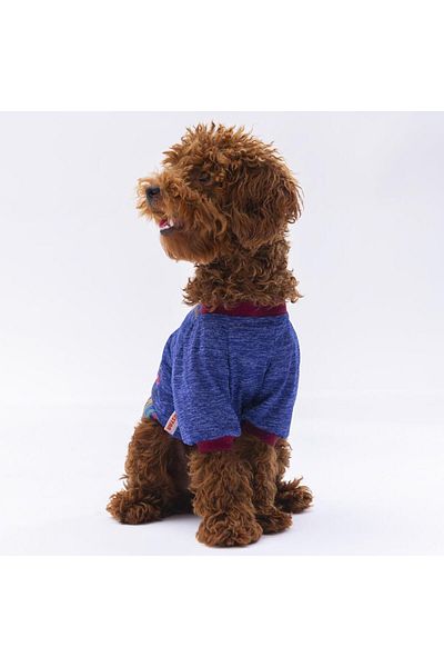 Pawstar Cat Dog Blue Sweatshirt - Clothes Designed