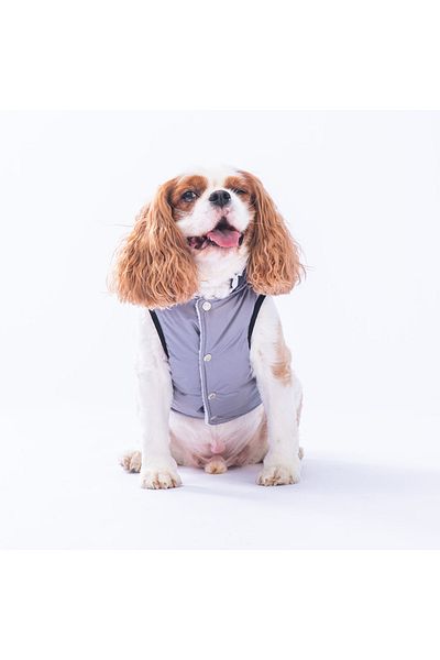 Pawstar Gray Diametro Puff Vest Dog Vest Dog Apparel Dog Raincoat