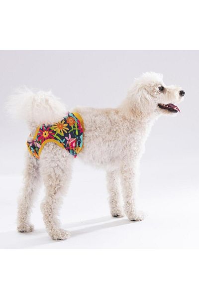 Pawstar Mixed Floral Cat-Dog Laundry Menstrual Weight (Pack of 3)