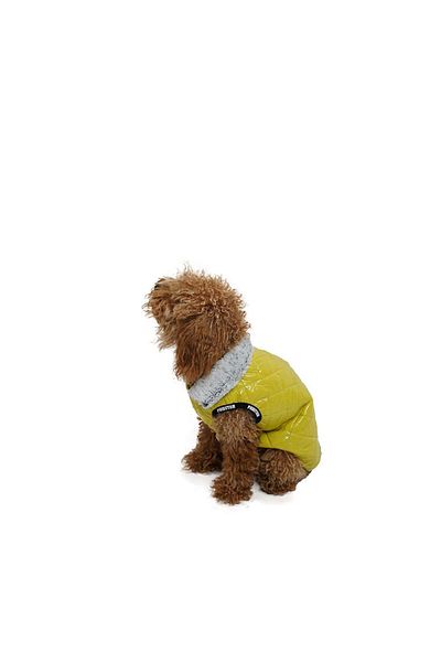 Pawstar Yellow Moncler Vest for Small and Medium Breeds Cat Dog Outfit