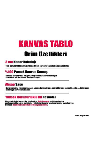 Şehzat Design Modern Yağlı Boya Görünümlü Yelkenli Kanvas Tablo